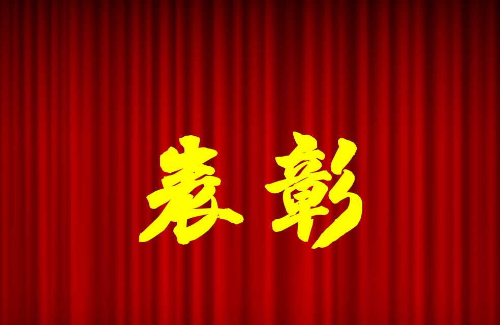 逐光前行、榮耀共鑒 | 公司2024年度表彰來(lái)啦！